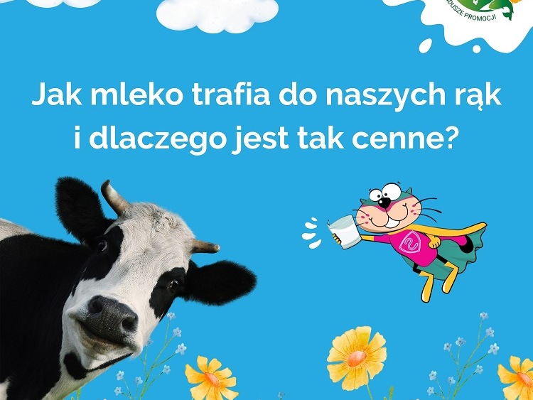 Jak mleko trafia do naszych rąk i dlaczego jest tak cenne?